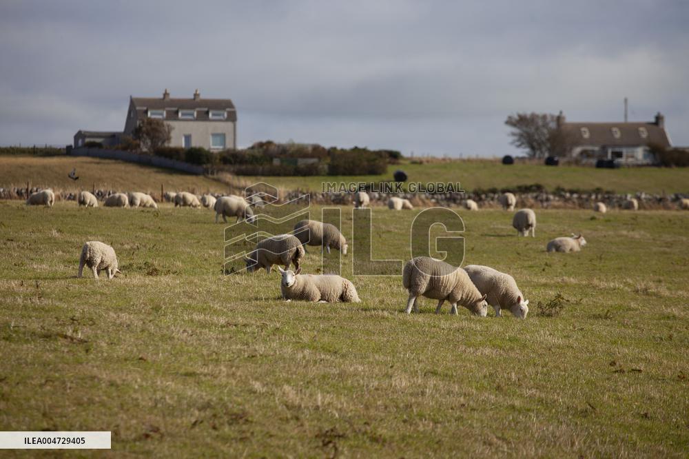 Illustration Scotland Landscape