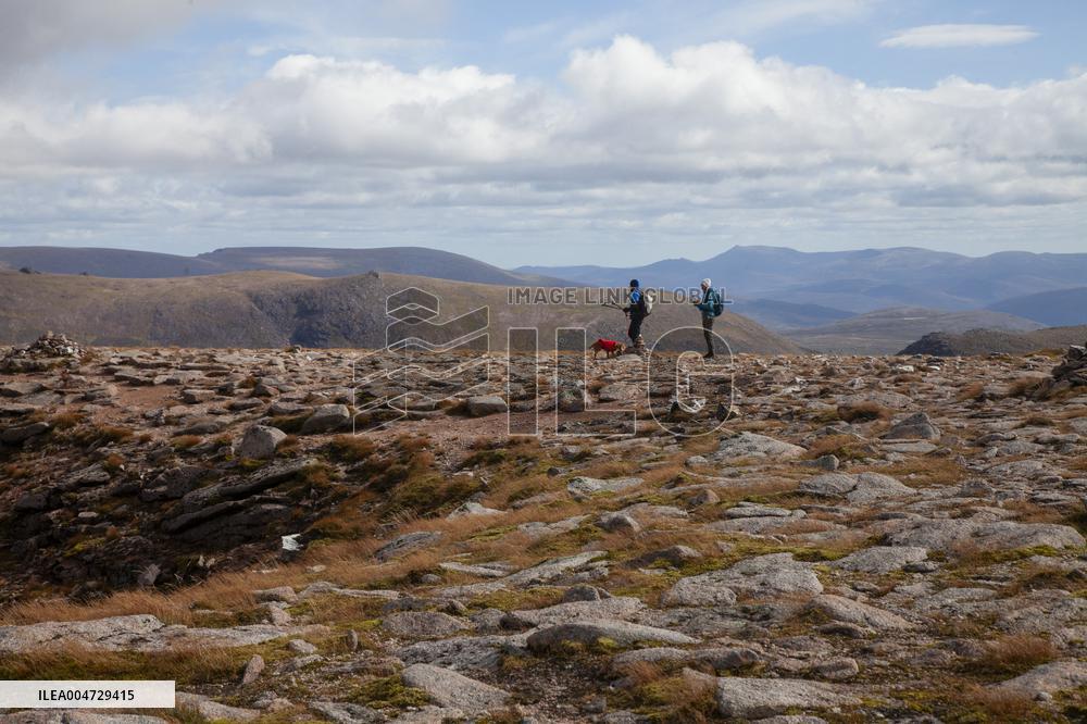 Illustration Scotland Cairngorm Mountain