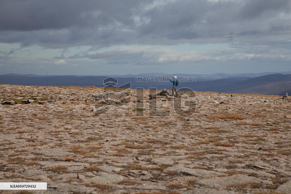 Illustration Scotland Cairngorm Mountain