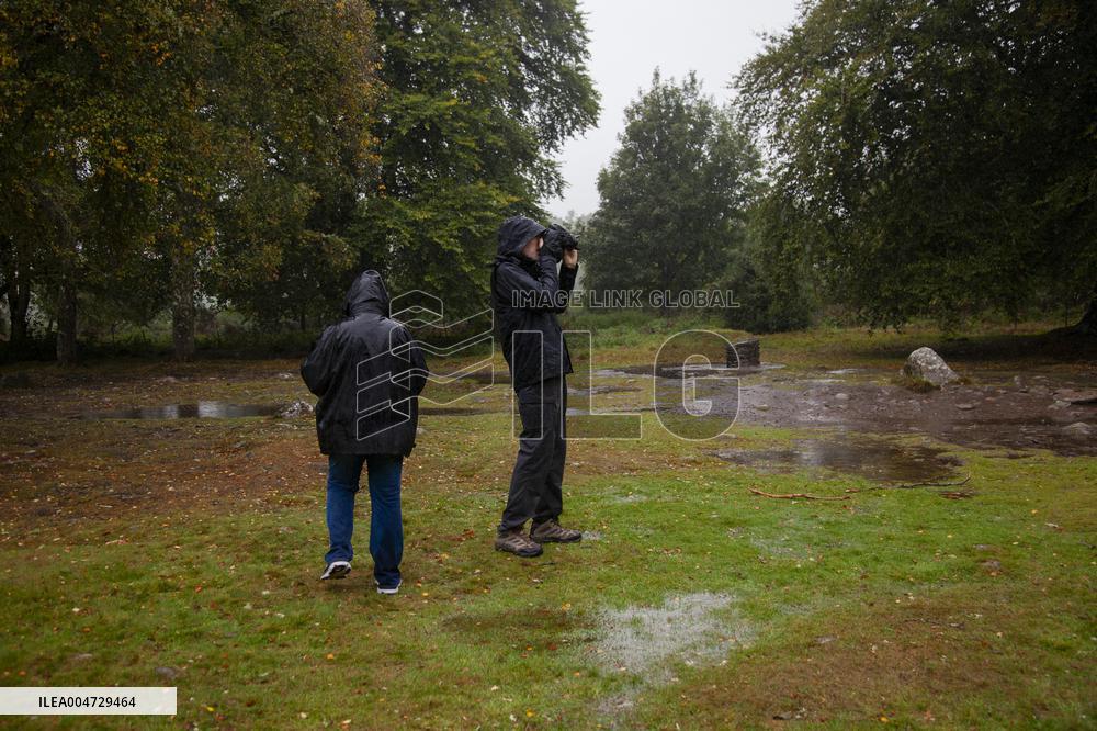 Illustration Scotland Clava Cairns