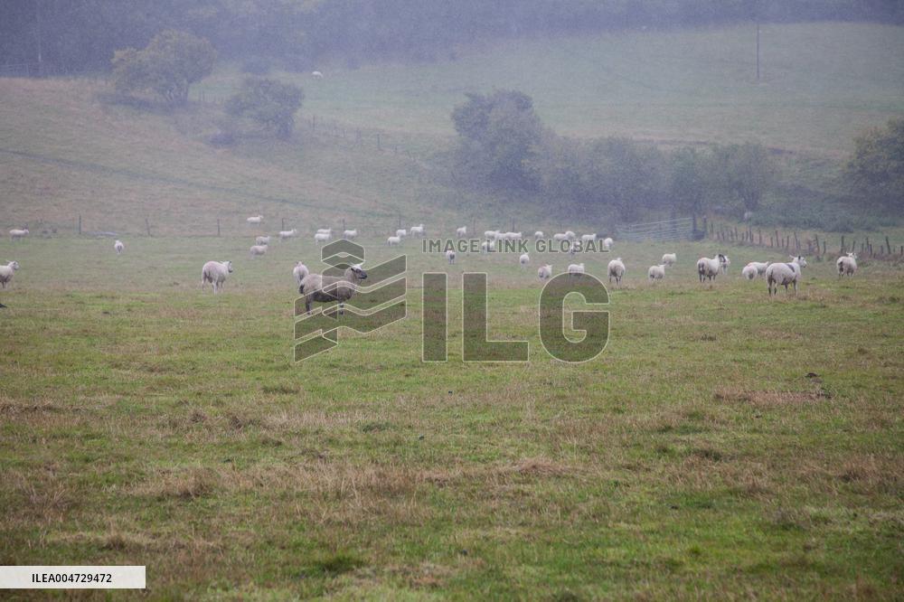 Illustration Scotland Clava Cairns