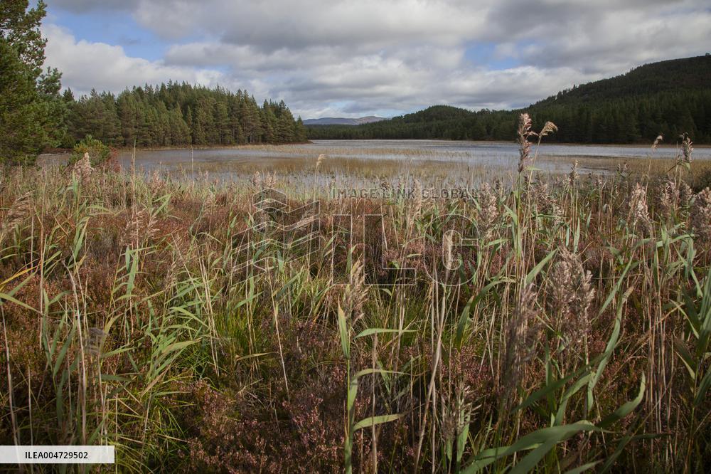 Illustration Scotland Mountain Landscapes