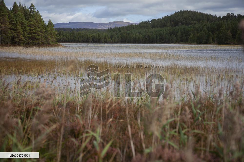 Illustration Scotland Mountain Landscapes