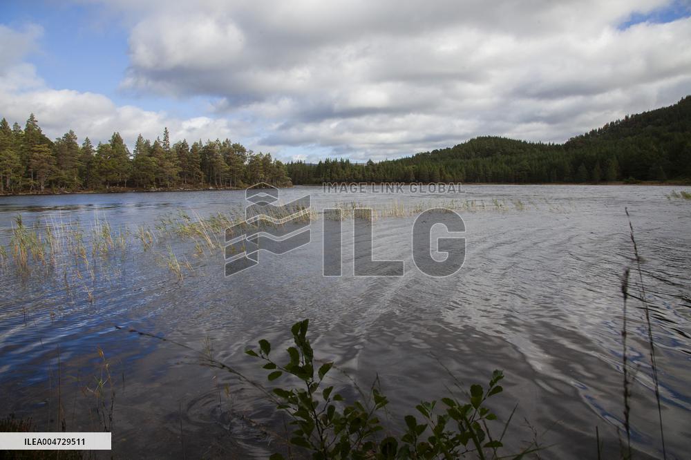 Illustration Scotland Mountain Landscapes