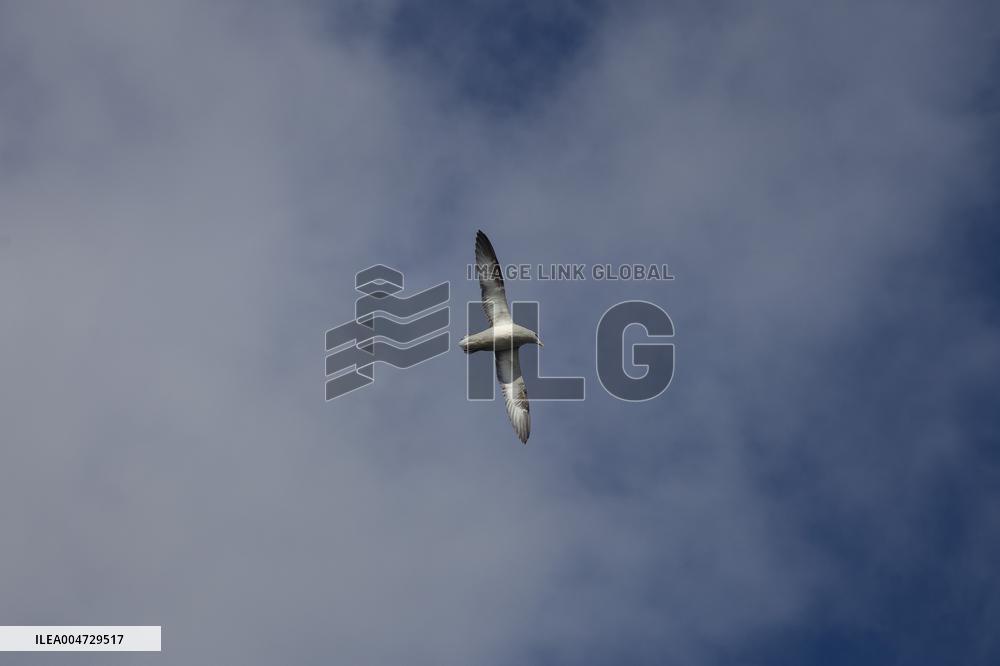 Illustration Scotland Wick