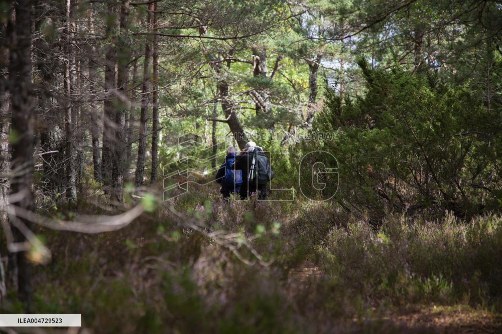 Illustration Scotland Mountain Landscapes