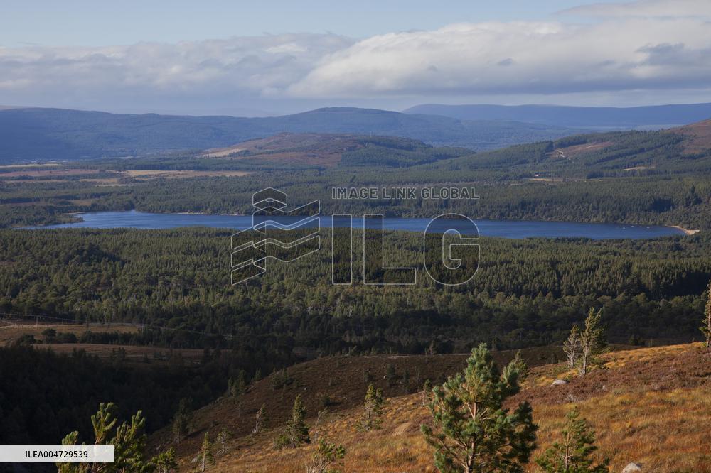 Illustration Scotland Mountain Landscapes