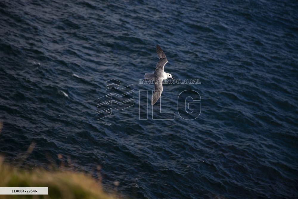 Illustration Scotland Wick