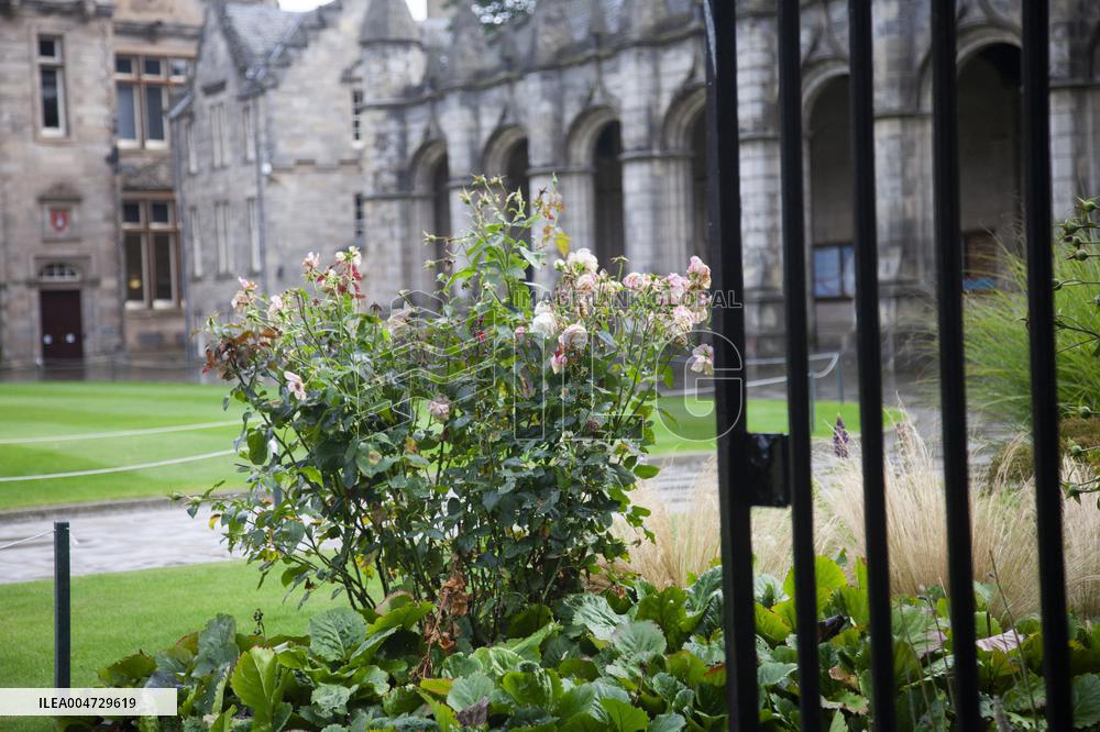 Illustration the City of Saint Andrews