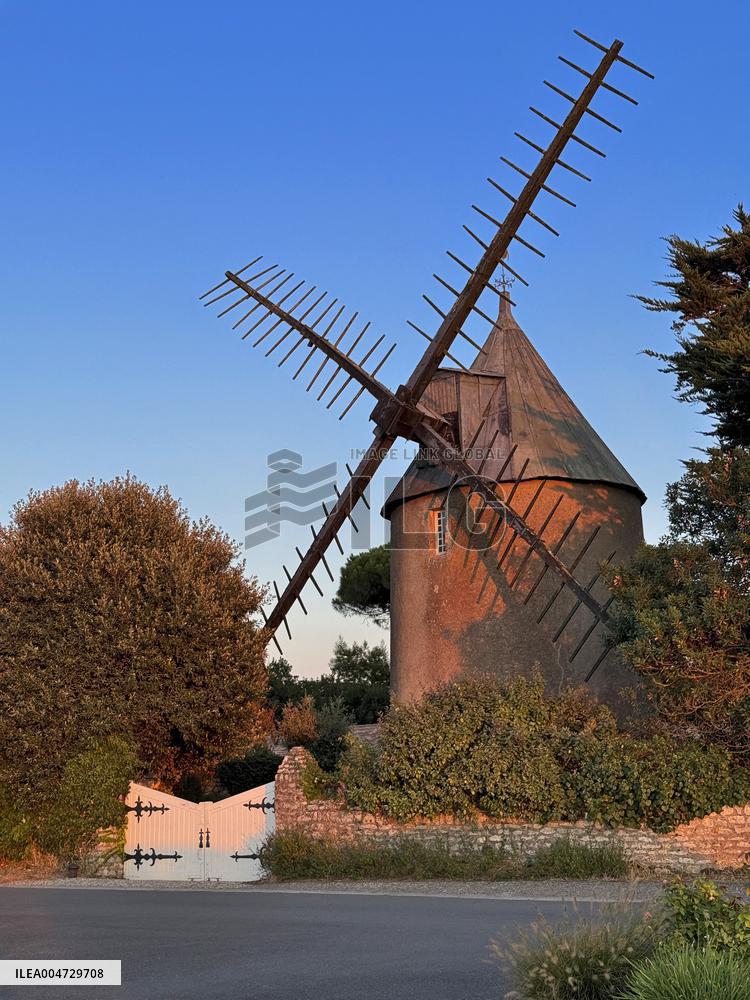 Illustration - Ile de Ré