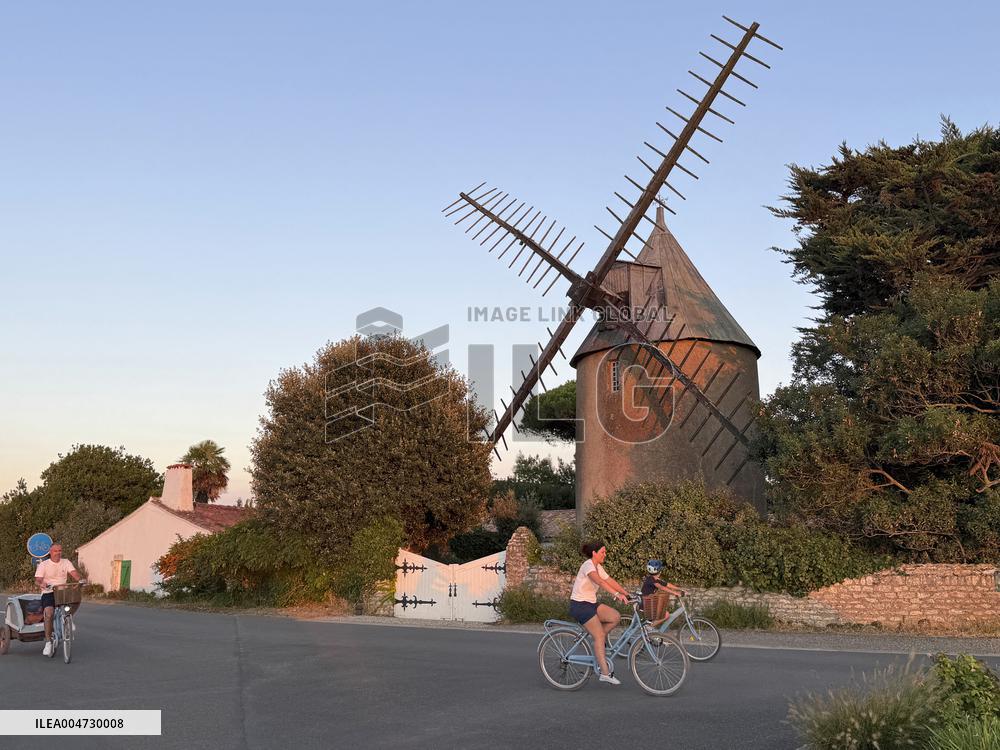 Illustration - Ile de Ré