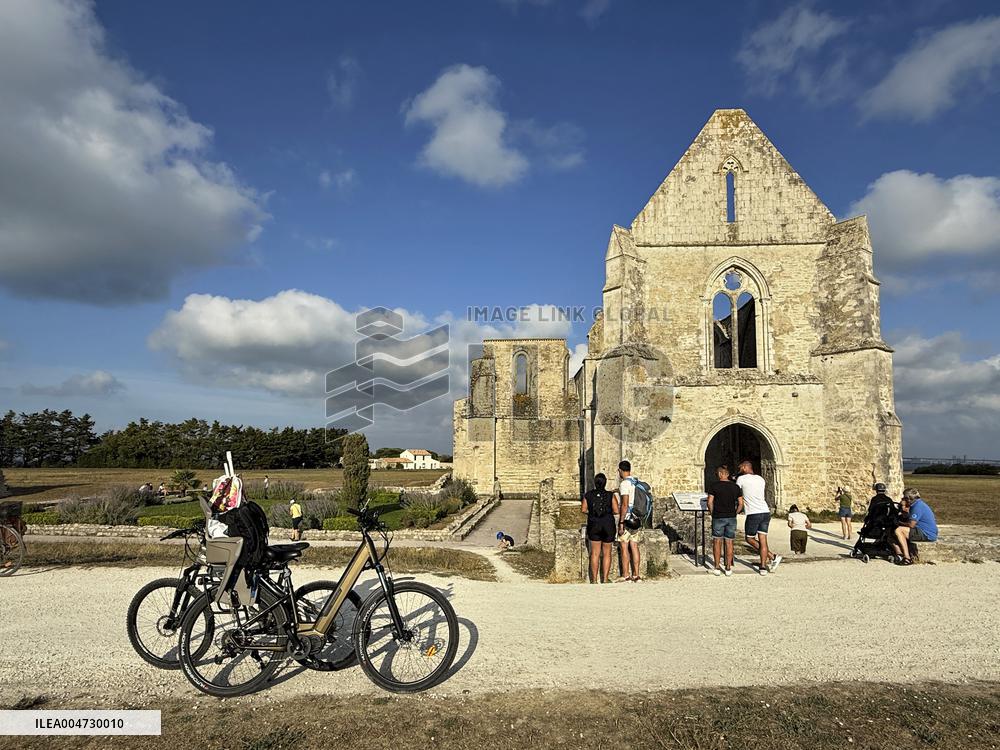 Illustration - Ile de Ré