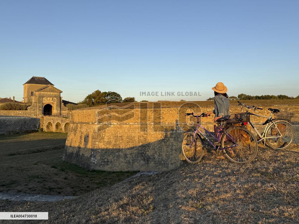 Illustration - Ile de Ré