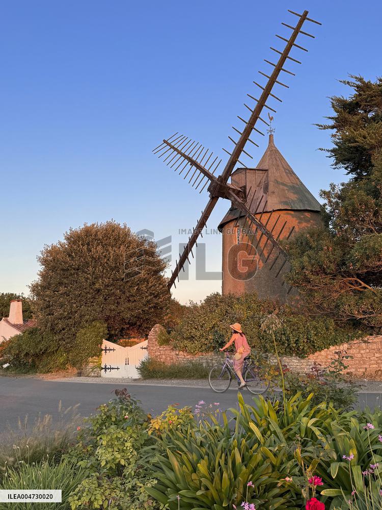 Illustration - Ile de Ré