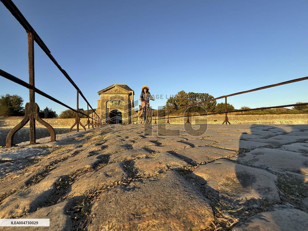 Illustration - Ile de Ré