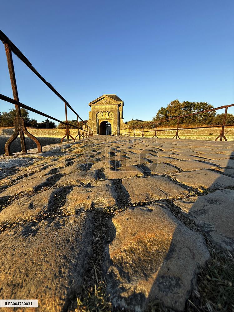 Illustration - Ile de Ré