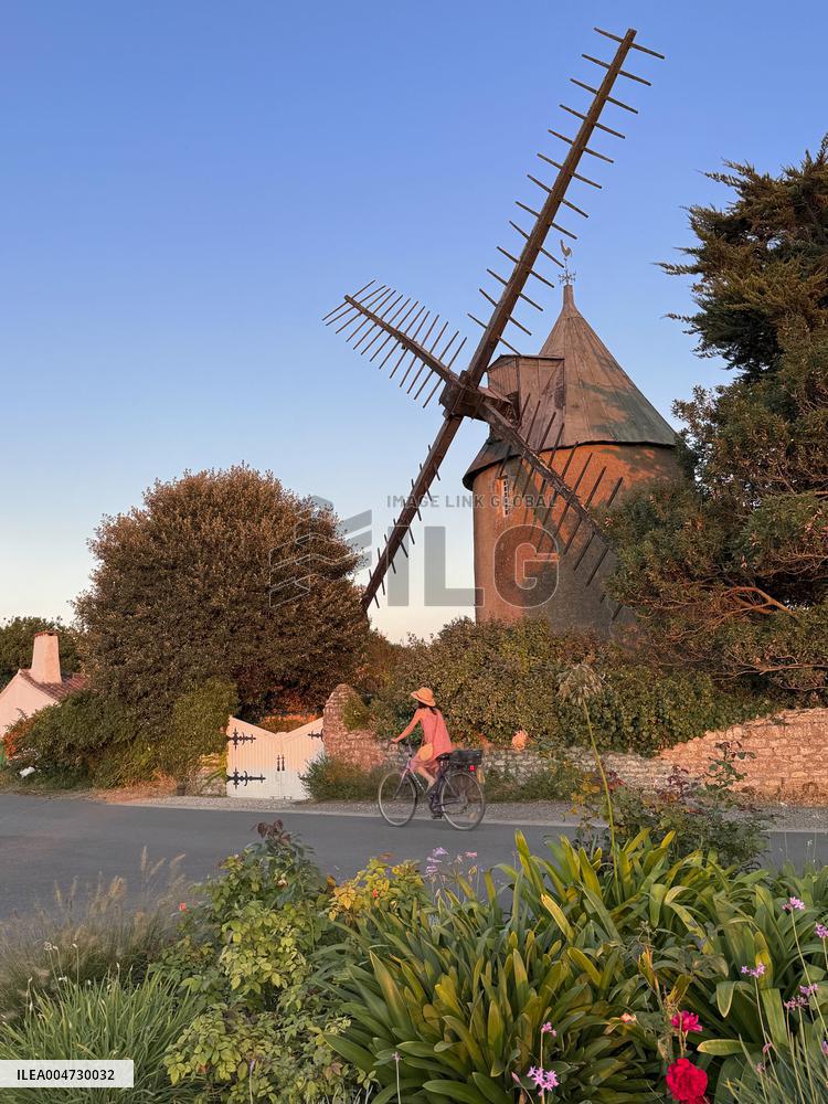 Illustration - Ile de Ré