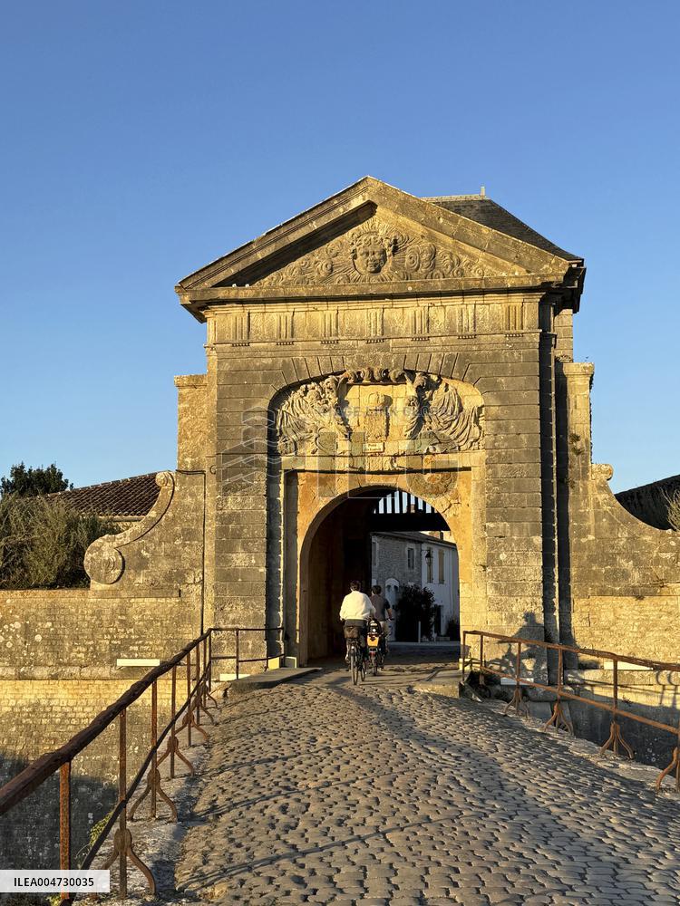 Illustration - Ile de Ré