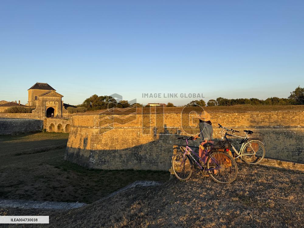 Illustration - Ile de Ré