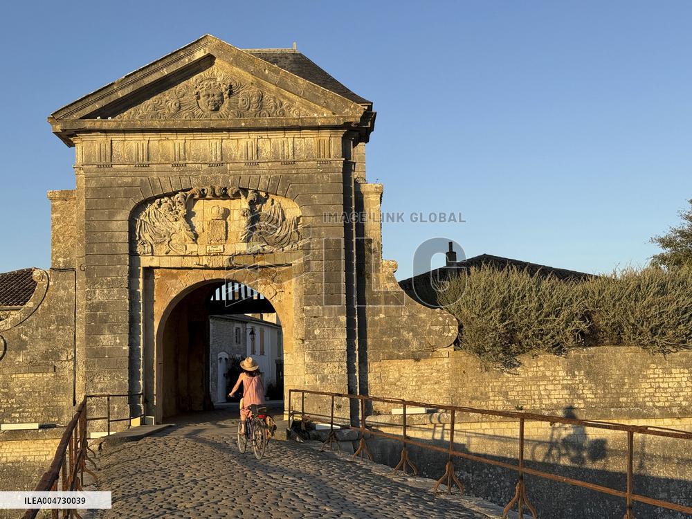 Illustration - Ile de Ré