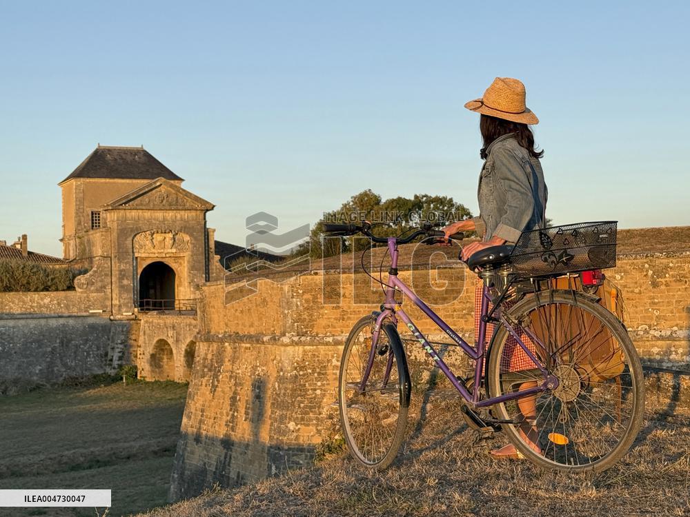 Illustration - Ile de Ré