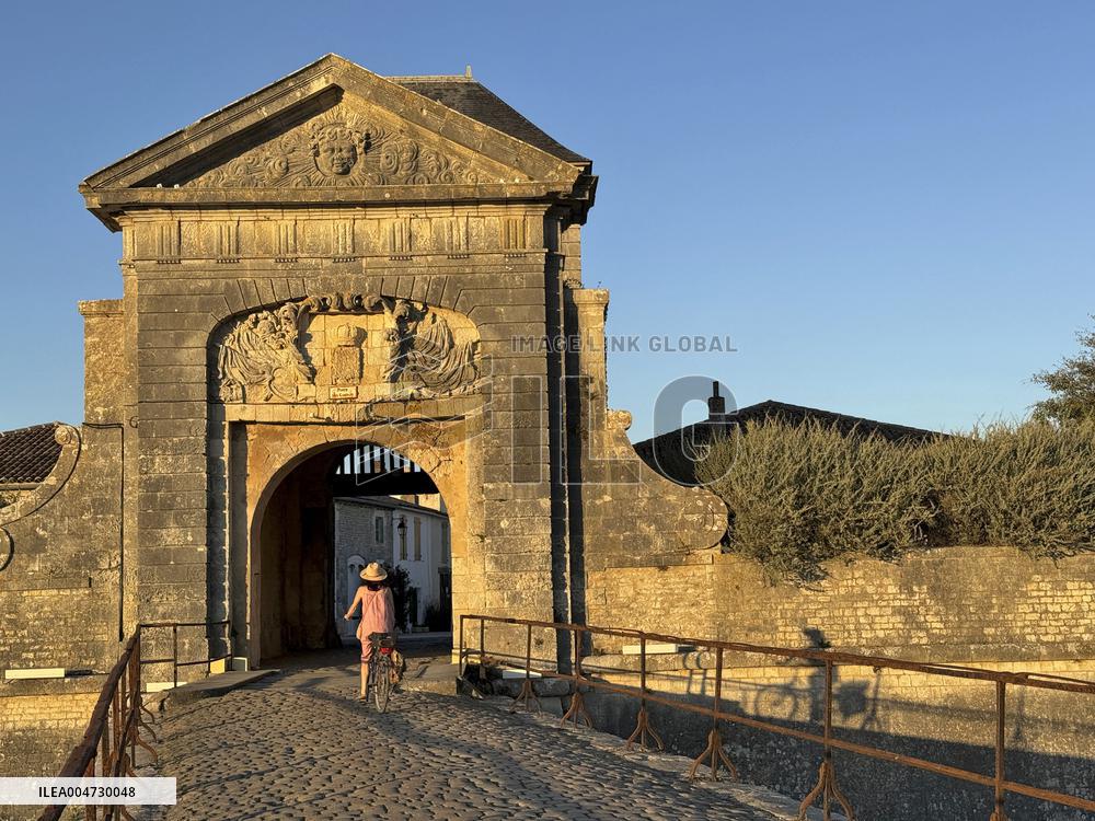 Illustration - Ile de Ré