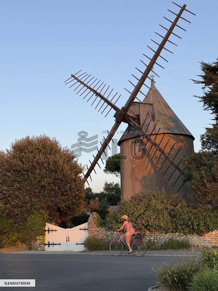 Illustration - Ile de Ré