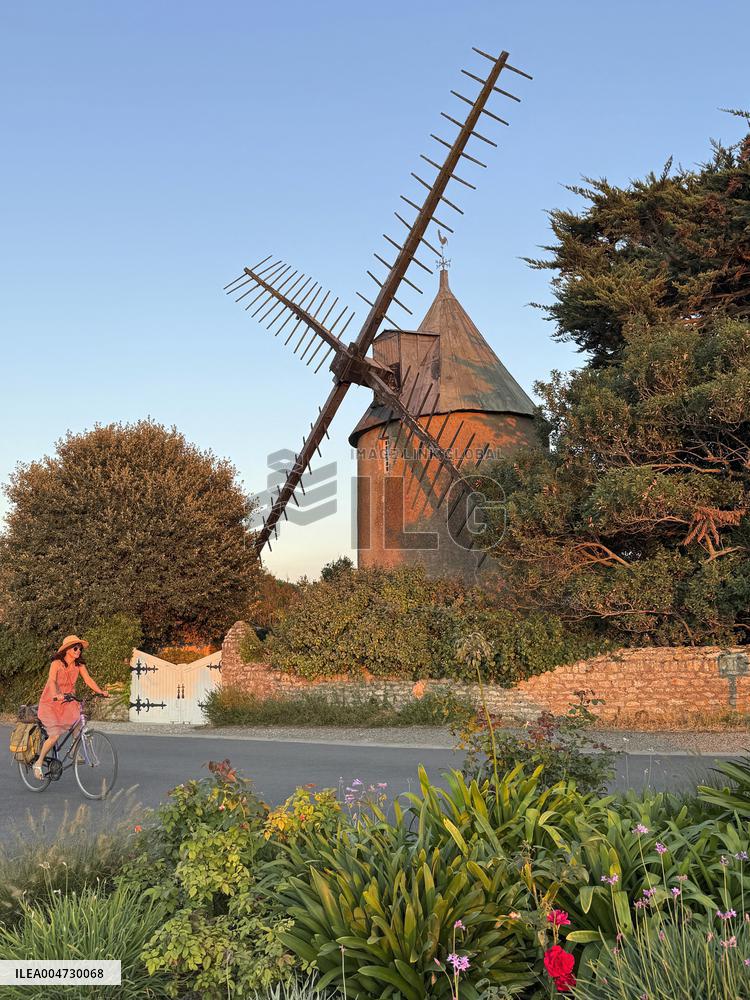 Illustration - Ile de Ré