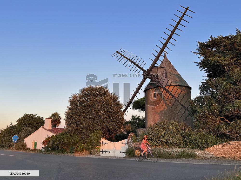 Illustration - Ile de Ré