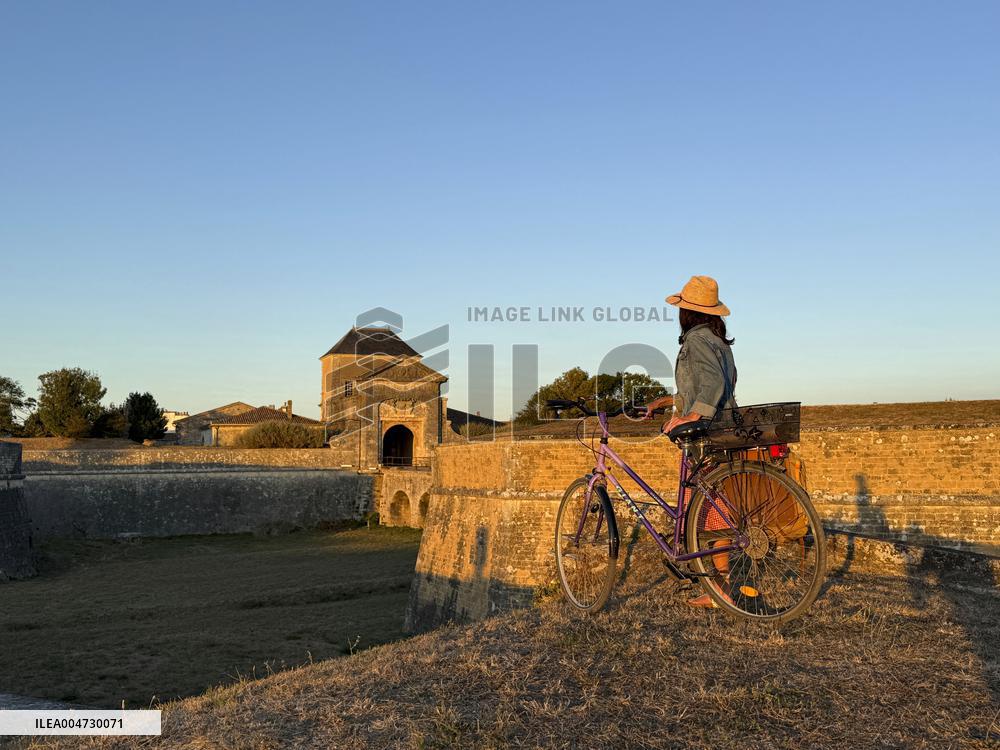 Illustration - Ile de Ré