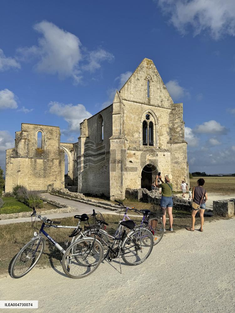 Illustration - Ile de Ré
