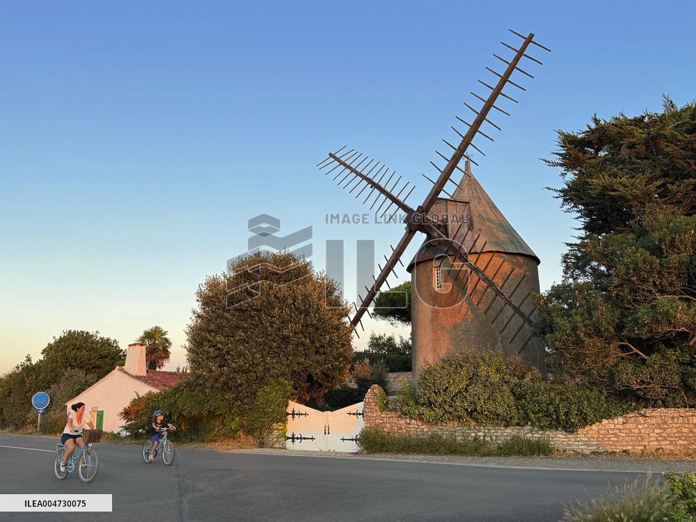 Illustration - Ile de Ré