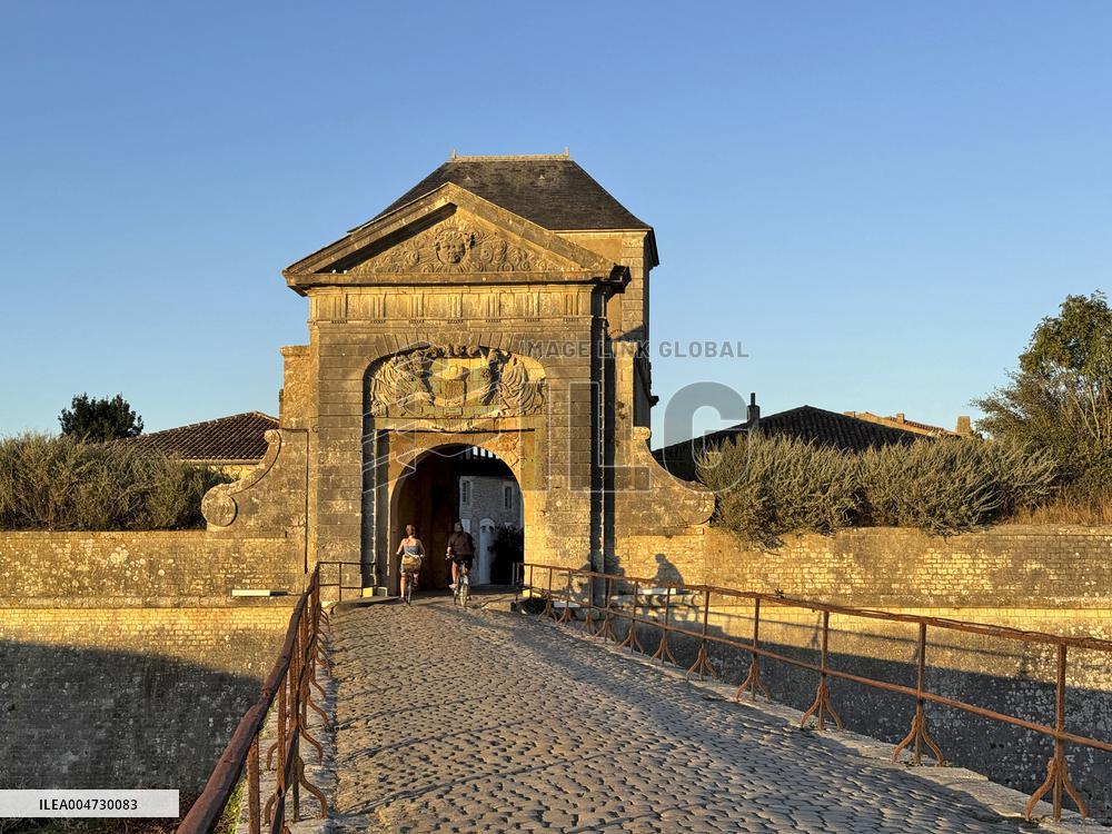 Illustration - Ile de Ré
