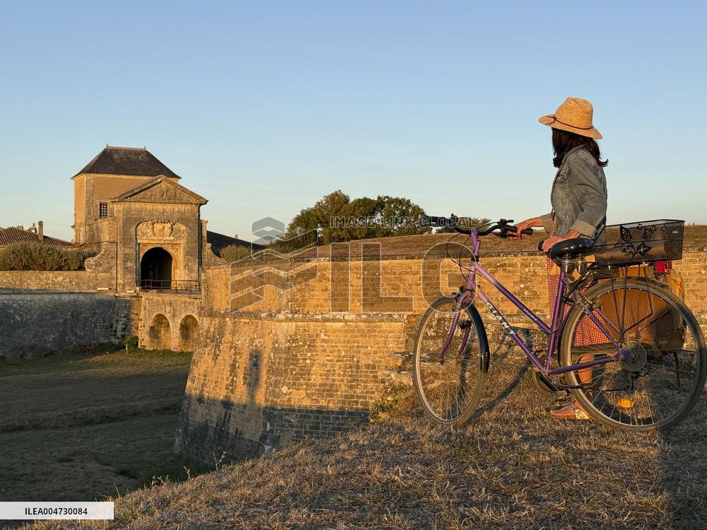 Illustration - Ile de Ré
