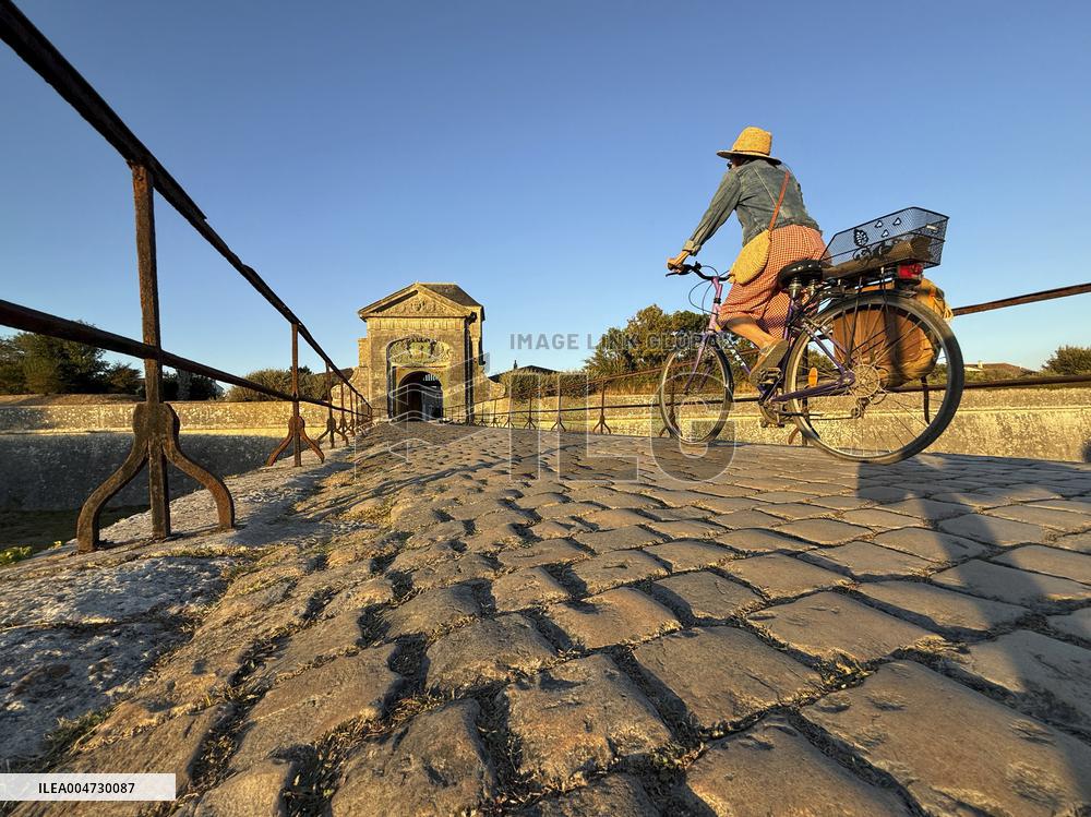 Illustration - Ile de Ré