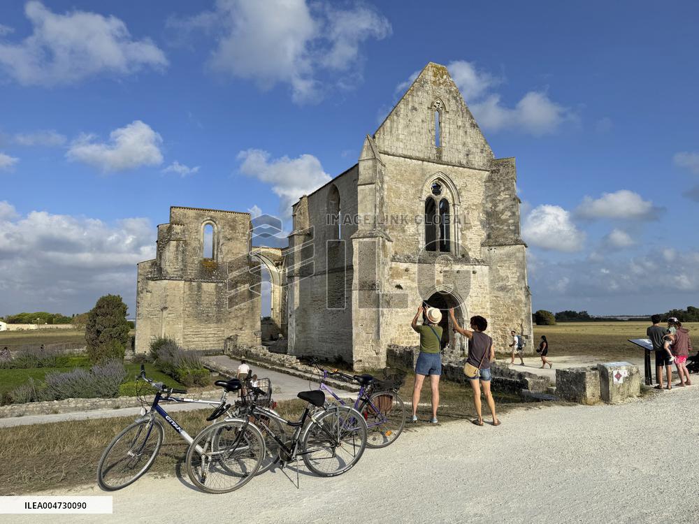 Illustration - Ile de Ré