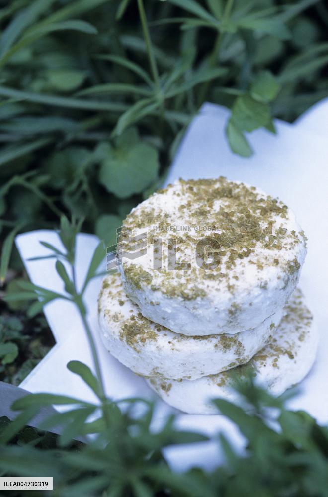 Illustration - Ile de Ré