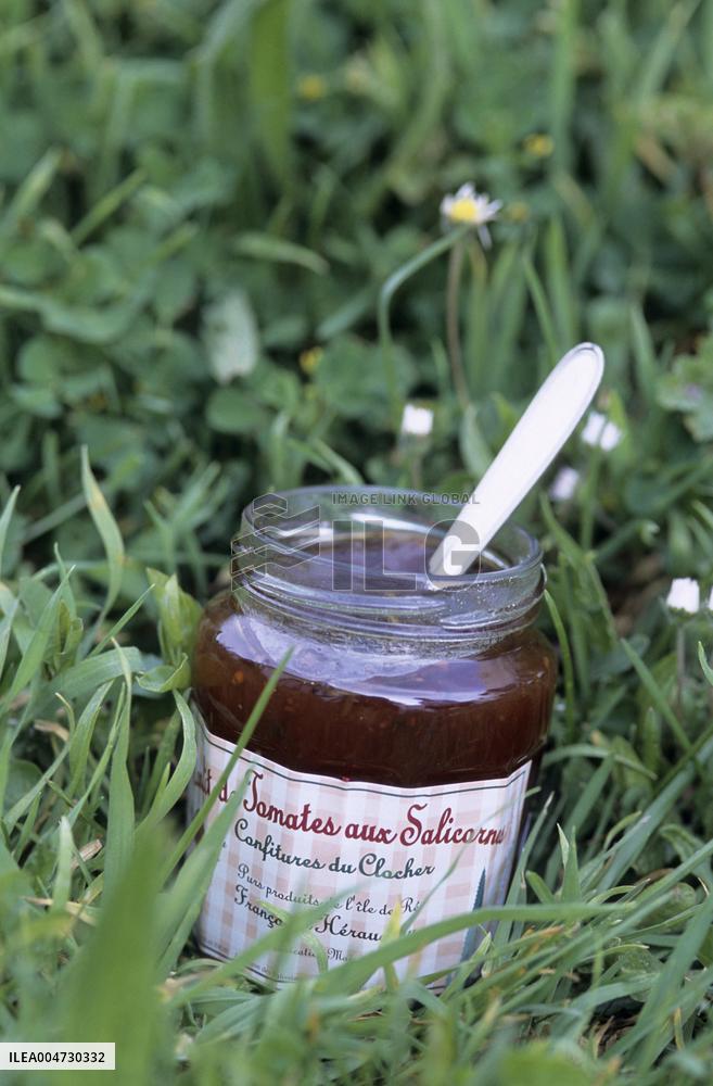 Illustration - Ile de Ré