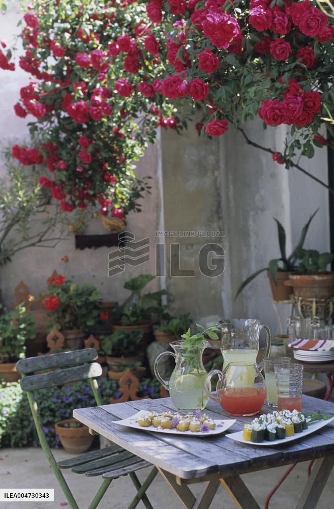 Illustration - Ile de Ré