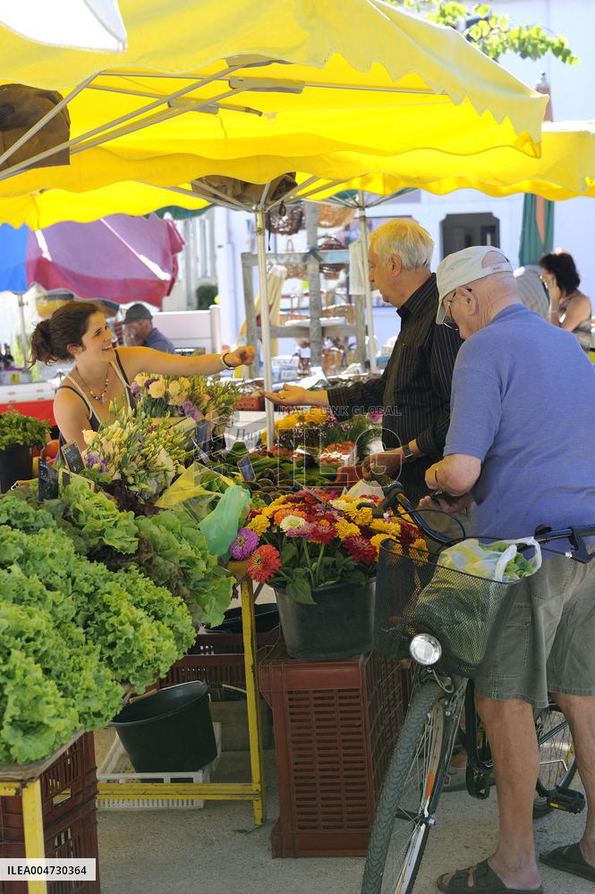Illustration - Ile de Ré