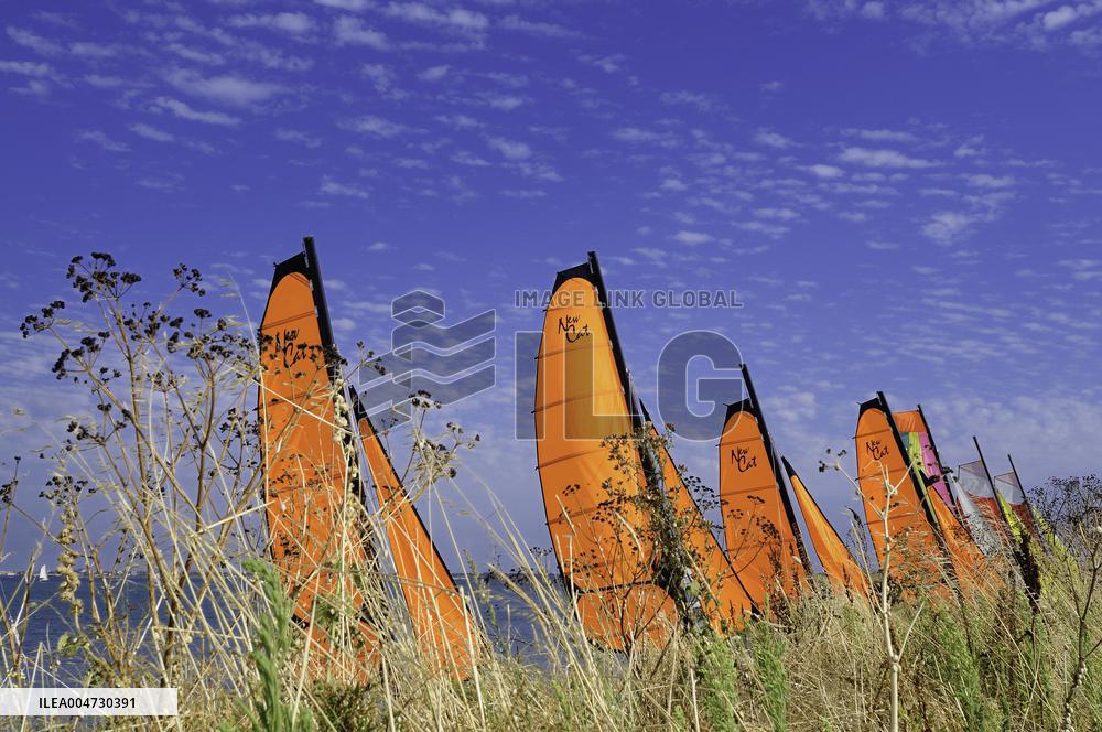 Illustration - Ile de Ré