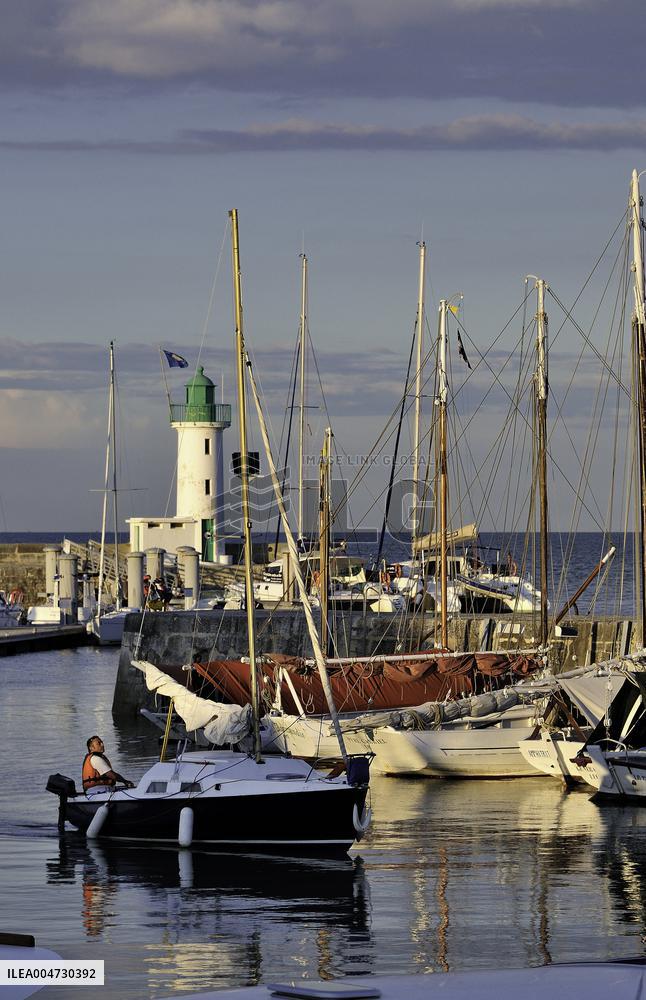 Illustration - Ile de Ré