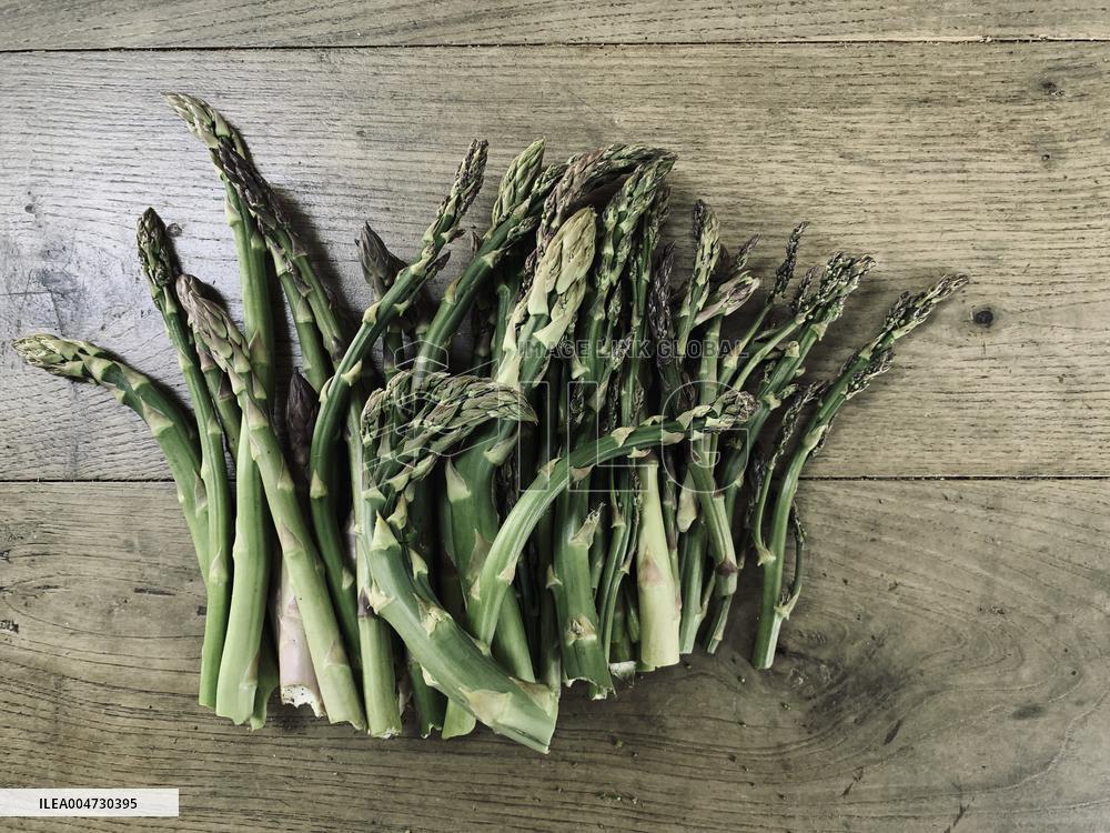 Illustration - Ile de Ré