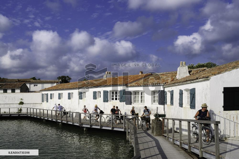 Illustration - Ile de Ré