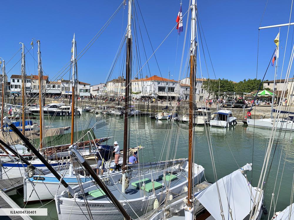 Illustration - Ile de Ré