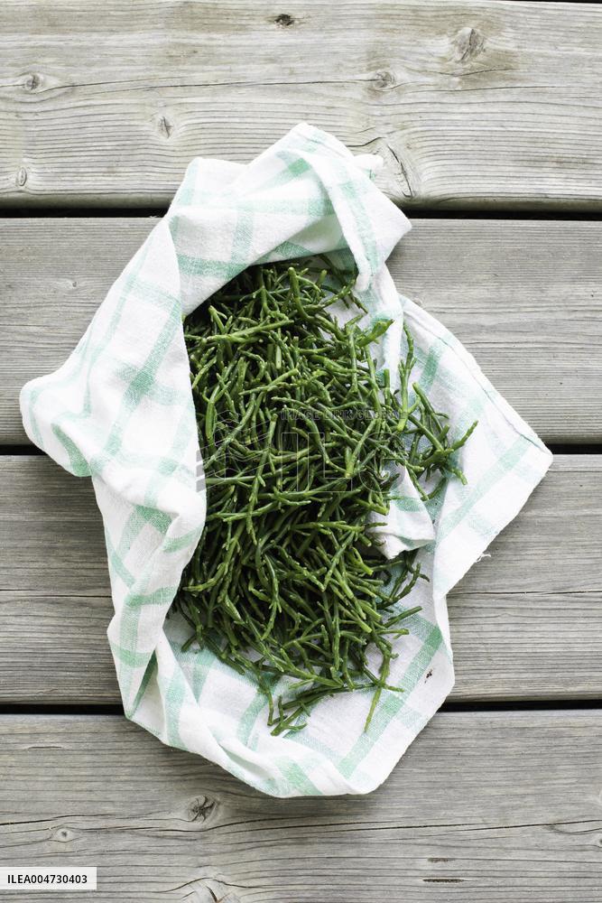 Illustration - Ile de Ré