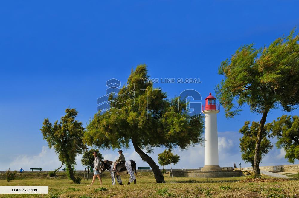 Illustration - Ile de Ré