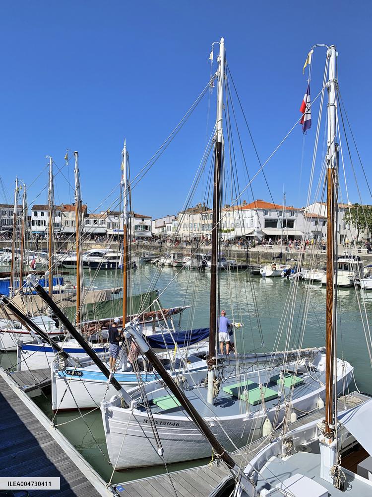 Illustration - Ile de Ré