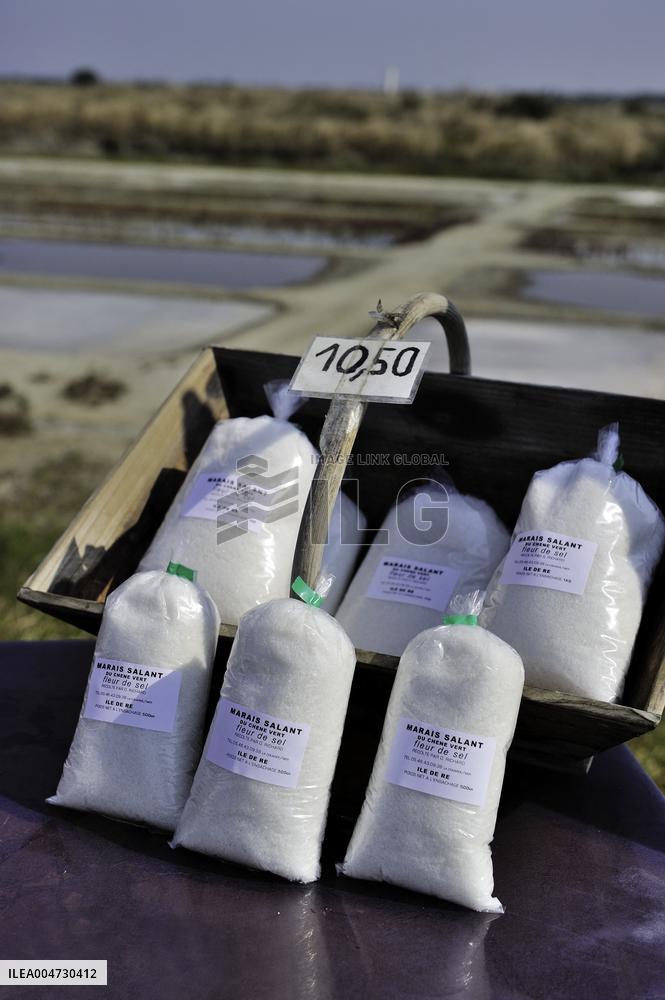 Illustration - Ile de Ré