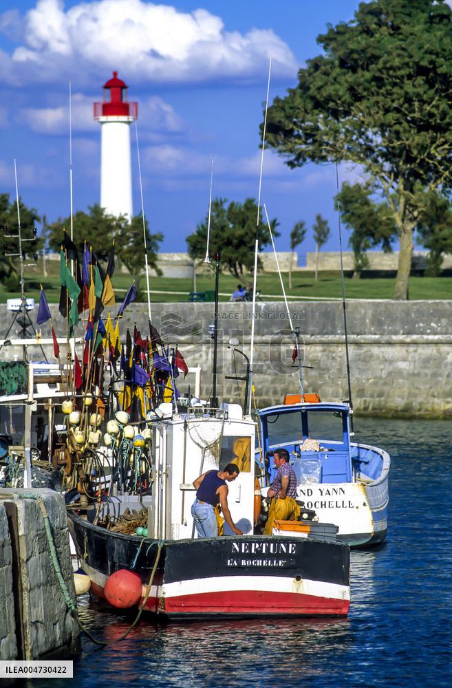 Illustration - Ile de Ré